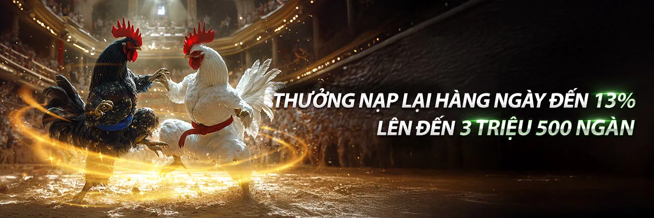 Màn hình hiển thị cá cược trực tiếp với tỷ lệ cược thay đổi