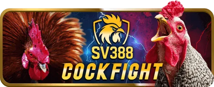 Chương Trình VIP Ứng Dụng 99v